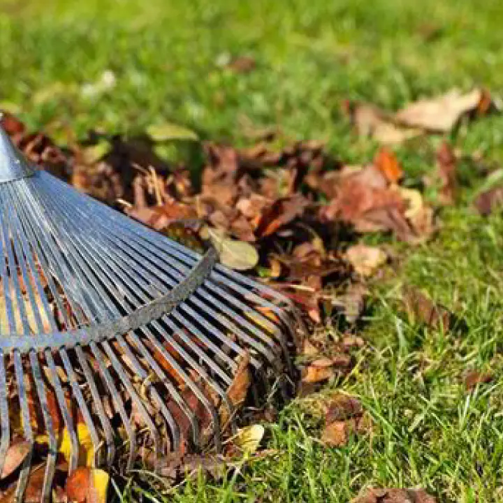 Courtyard Cleaning Services