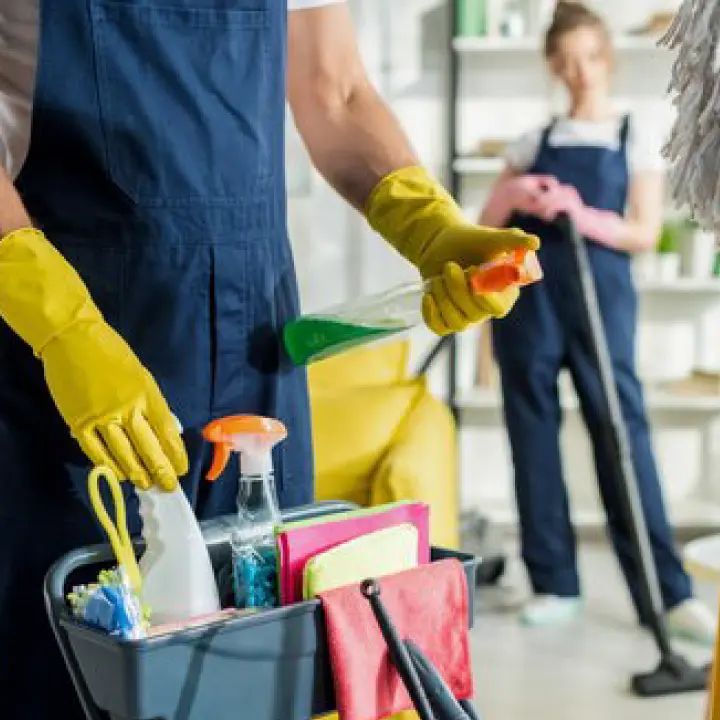 Detail Dusting Cleaning Services