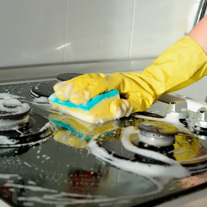 Kitchen Appliances Cleaning Services