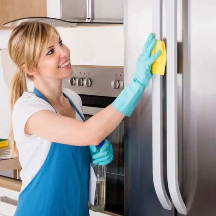 Kitchen Appliances Cleaning Services