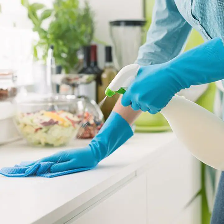 Recurring Cleaning Services