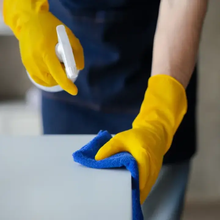 Spring Cleaning Services