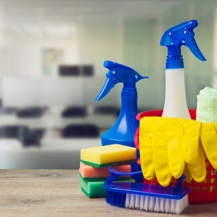 Spring Cleaning Services