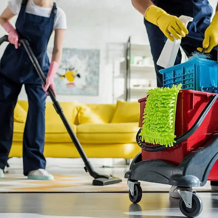 Spring Cleaning Services