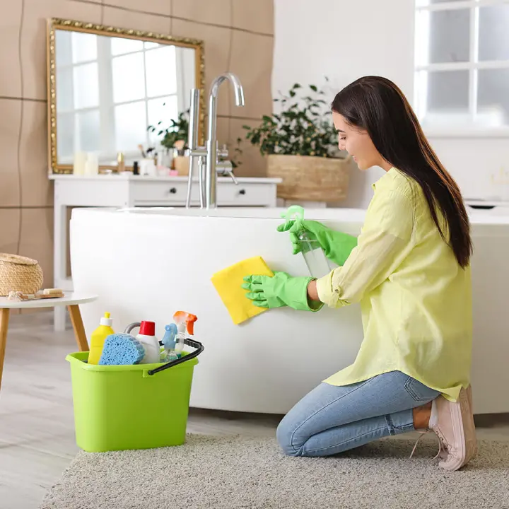 Bathtub Cleaning Services