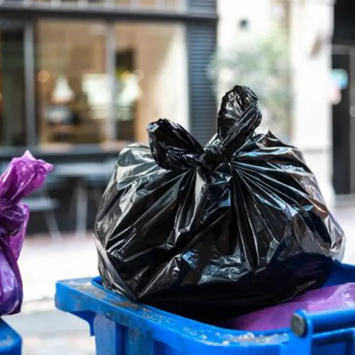 Commercial Trash Clean Up Services