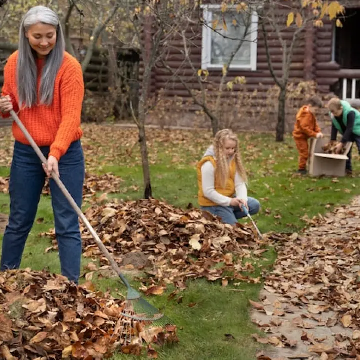 Courtyard Cleaning Services