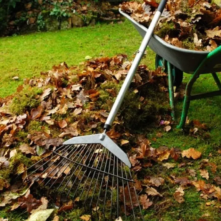 Courtyard Cleaning Services