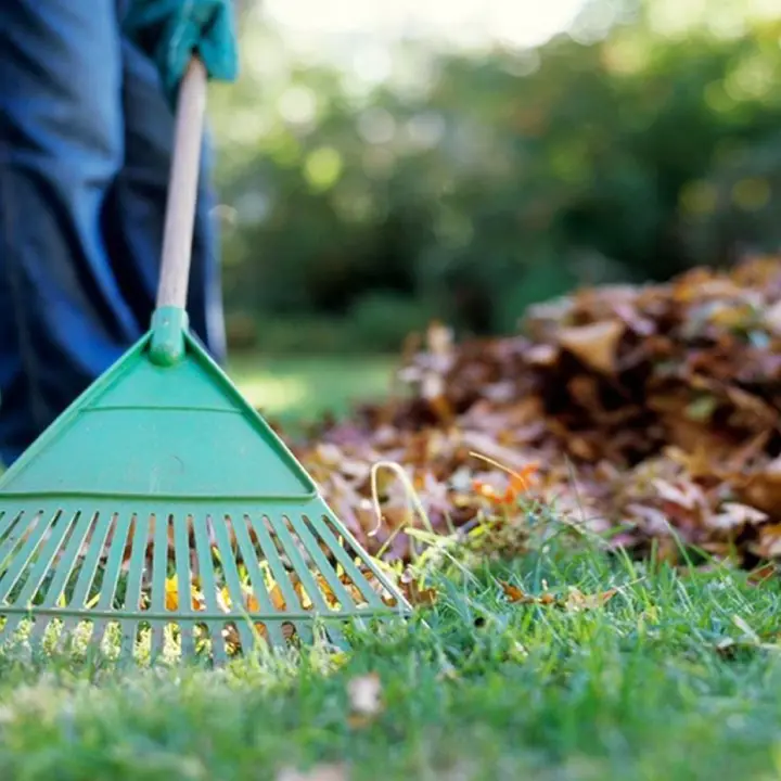 Courtyard Cleaning Services