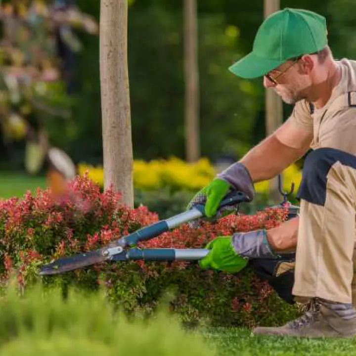 Courtyard Cleaning Services