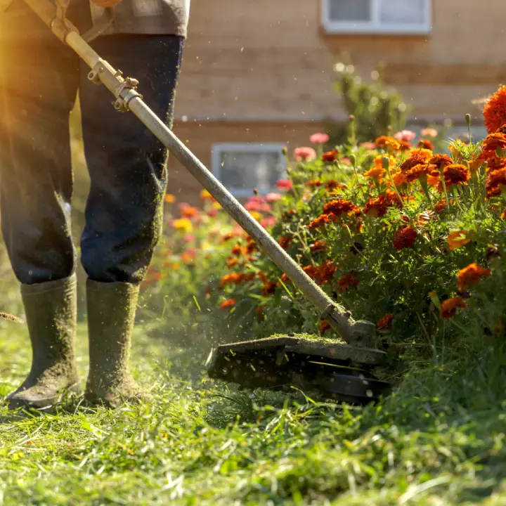 Courtyard Cleaning Services