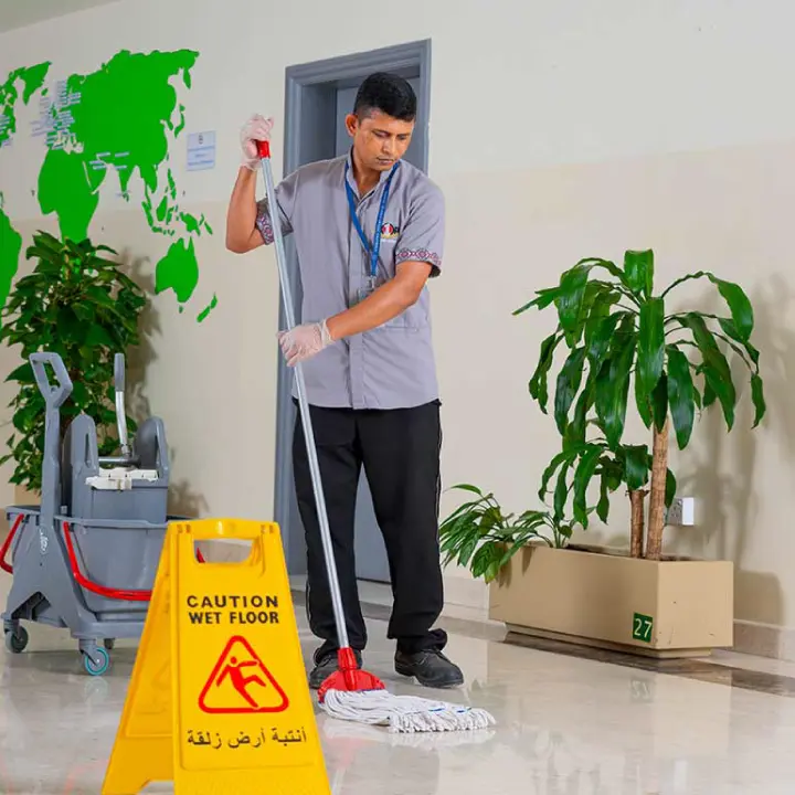 Detail Dusting Cleaning Services