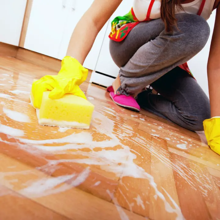 Detail Dusting Cleaning Services