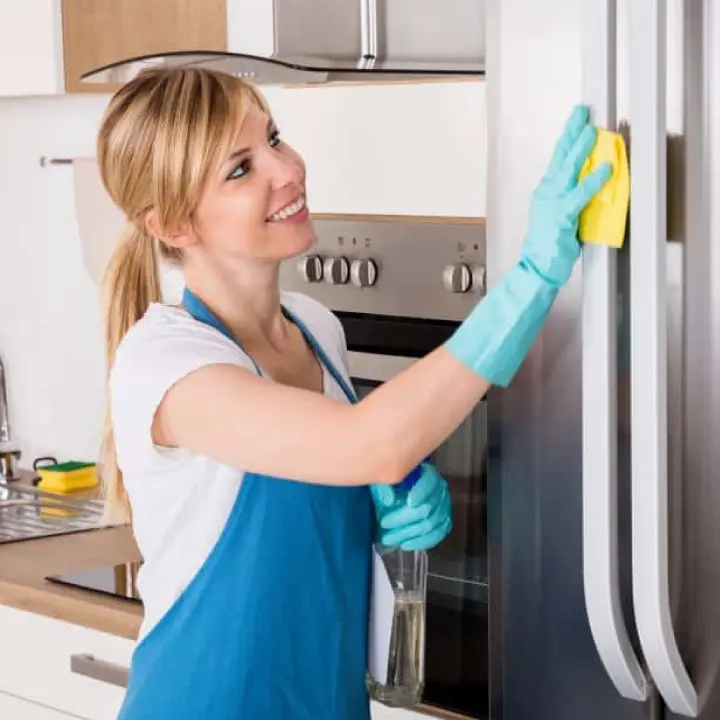 Kitchen Appliances Cleaning Services