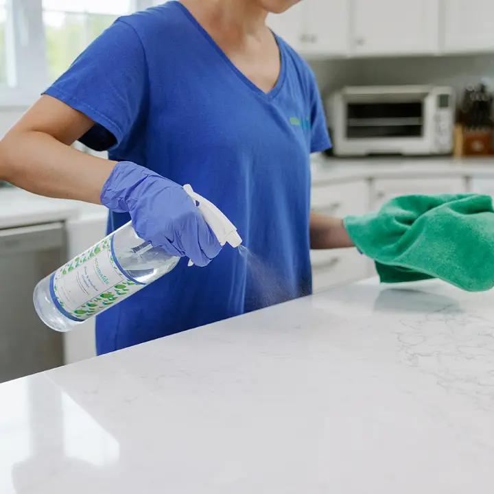 Recurring Cleaning Services