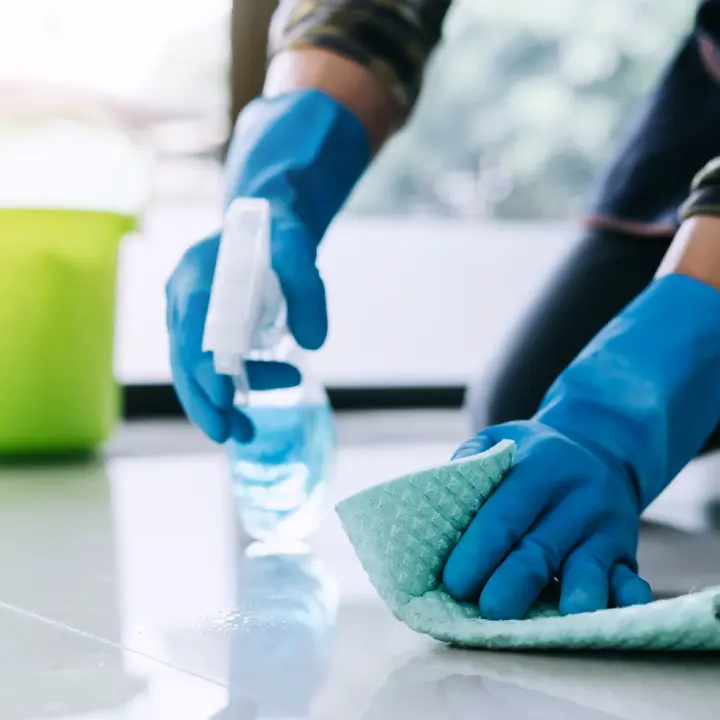 Spring Cleaning Services