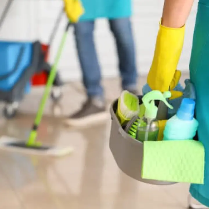 Spring Cleaning Services