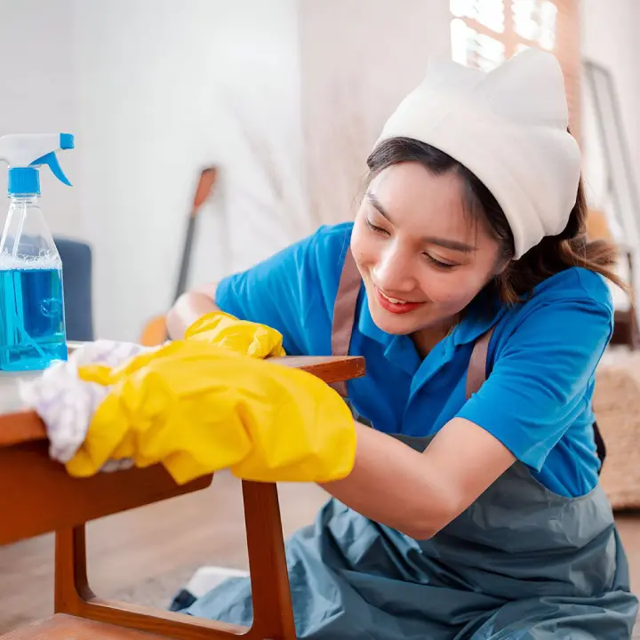 Spring Cleaning Services
