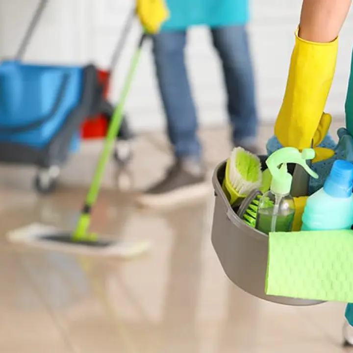 Spring Cleaning Services