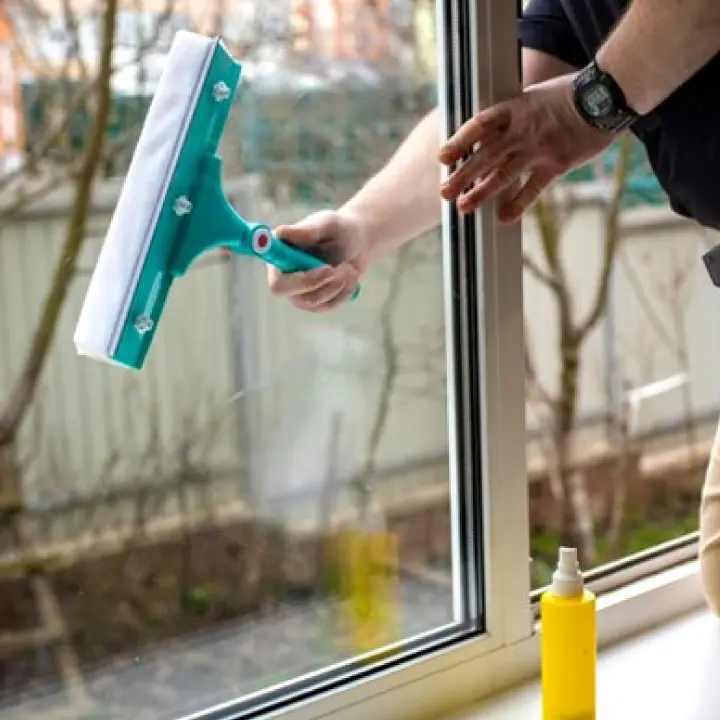 Spring Cleaning Services